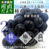�ڤ��渵���ƥ��եȡۻ�������껺��ľ�� JA�ե롼�Ļ��� ��ʤ��ԥ����� ���� ��˼2˼���� ����Ȣ (��550g ��2˼) ����̵�� ��ƺ �֤ɤ����ե� ���渵