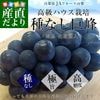 껺ľ JAե롼Ļ ʤ  ˼1˼경Ȣ (550g1˼) ̵ ƺ ֤ɤ ե ƥե 渵 渵