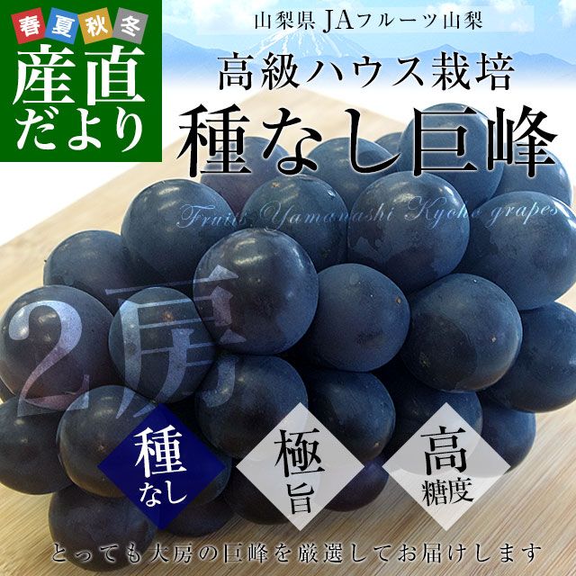 껺ľ JAե롼Ļ ʤ  ˼2˼경Ȣ (550g2˼) ̵ ƺ ֤ɤ ե ƥե 渵 渵