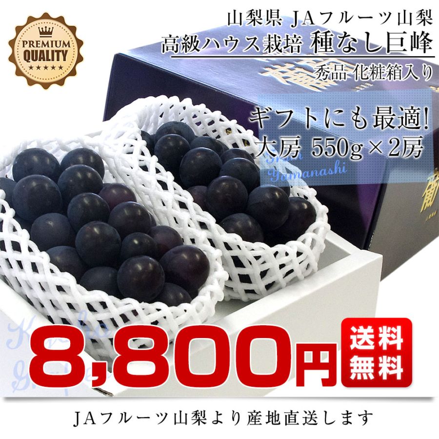 お中元・夏ギフト】山梨県より産地直送 JAフルーツ山梨 種なし巨峰 秀