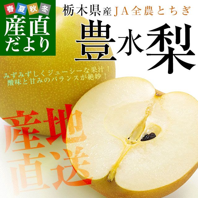 ڸ껺ľ JAȤ ˭ ͥʰʾ 5 (8̤16) ʤ ʥ̵