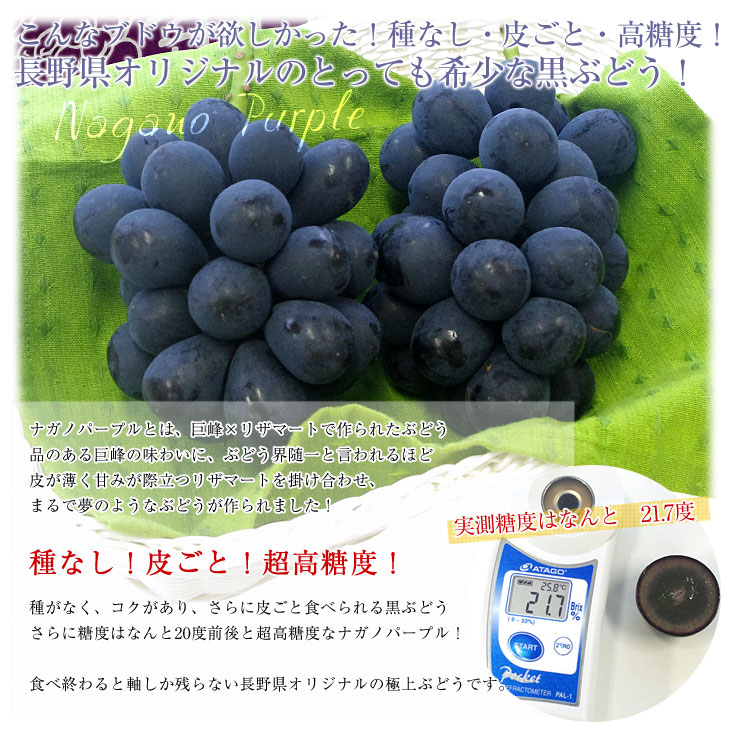 現品④ 長野県産ナガノパープル 加工用 8.7kg （ナガノパープル