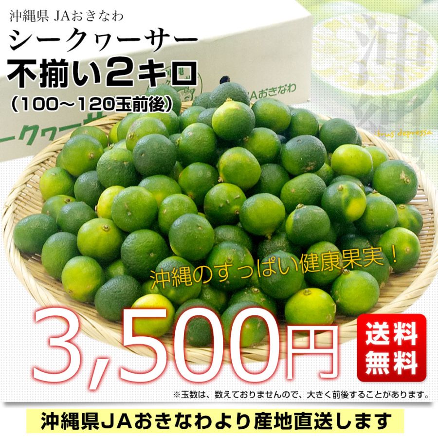 シークワサー　10キロ　沖縄県産　採れたて発送 沖縄県産シークワーサー 10キロ送料込‼️ - メルカリ