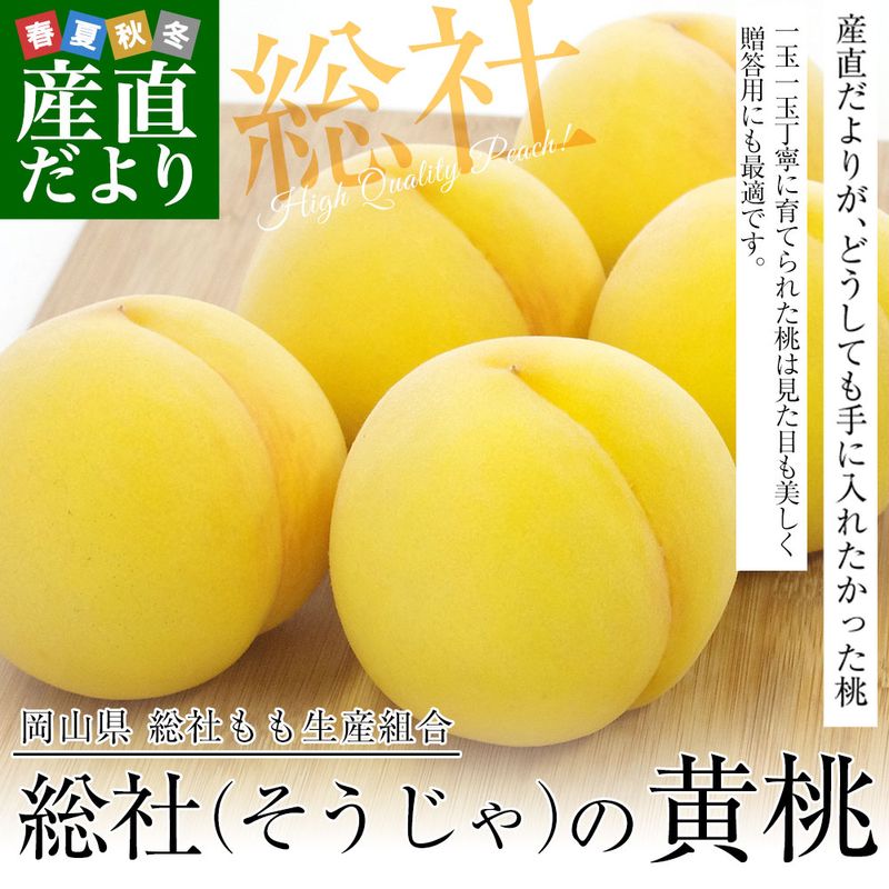 ���������黺��ľ�� JA ���Ҥ�������ȹ� �������� �����Τ���� �Ľ��ʾ� 2�������� (5�̤���8��) ����̵�� ��� ���