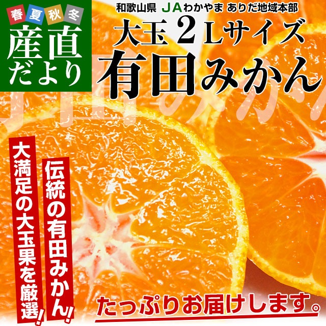 和歌山県より産地直送 JAわかやま ありだ地域本部 有田みかん 大玉 2L
