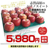 リンゴページ 最高級品 シナノスイート チャンピオンりんご 糖度16度前後 贈答用 約
