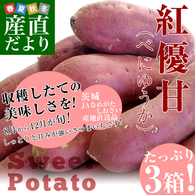 茨城県から産地直送,JAなめがたしおさい　1キロ×3箱セット　さつまいも「紅優甘　JAなめがたしおさい　薩摩芋　サツマイモ　さつま芋　SからSSサイズ　送料無料　(べにゆうか)」　茨城県より産地直送　産直だより