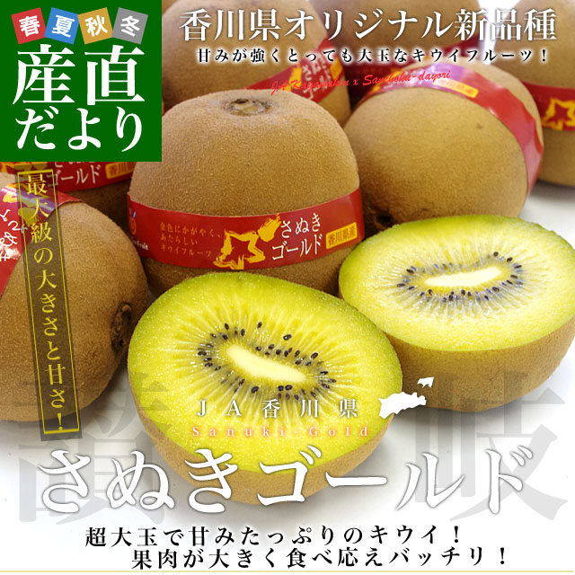 �����껺��ľ�� JA��� �������ե롼�� ���̤�������� ���� 1.3��������Ȣ(7�̤���9��)����̵��