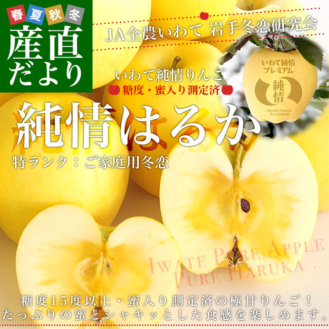 岩手県より産地直送 JA全農いわて いわて純情りんご 純情はるか 5キロ
