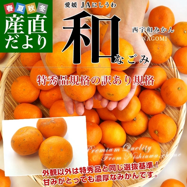 ɲ껺ľ JAˤ ߤʤζ ¤ߤ  (ʤ) SSS 5(60̤80) ̵ ̪ ߥ