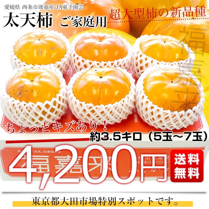 愛媛県周桑産 JA東予園芸 太天柿 ご家庭用 3.5キロ(5玉から7玉) 送料