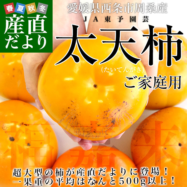 愛媛県周桑産 JA東予園芸 太天柿 ご家庭用 3.5キロ(5玉から7玉) 送料