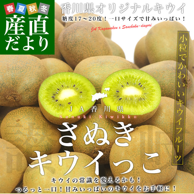 香川県より産地直送 JA香川県 高糖度キウイ さぬきキウイっこ 2キロ