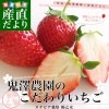 븩 ߷Τꤤ (ƥӥ ʲ) 1ʾ (260g4ѥå) Ծȯ   ĻԾ ̵
