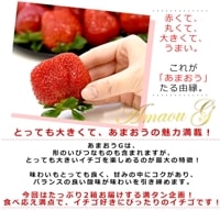 22日発　えいたんあまおう4キロ 000000001312_2_8mjGZoC_thumb.jpg