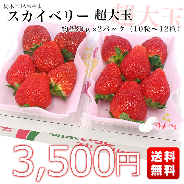 栃木県より産地直送 JAおやま スカイベリー 超大粒 280g×2P (5粒