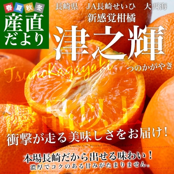 長崎県より産地直送 JA長崎せいひ 津之輝(つのかがやき) 3LからLサイズ