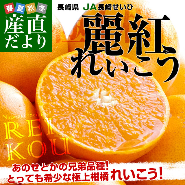 ⭐︎海ちゃん様専用⭐︎のびしば四国〈柑橘コンビ〉＆熊本③