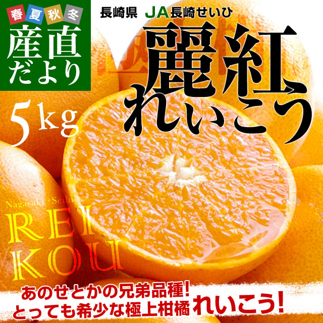 Ĺ�긩��껺��ľ�� JAĹ�ꤻ���� ��� (�줤����) 3L����L������ ͥ�ʰʾ� 5���� (20�̤���30��) ����̵�� ���� ����� �줤�������� ��ȴ� ���� ������ ������