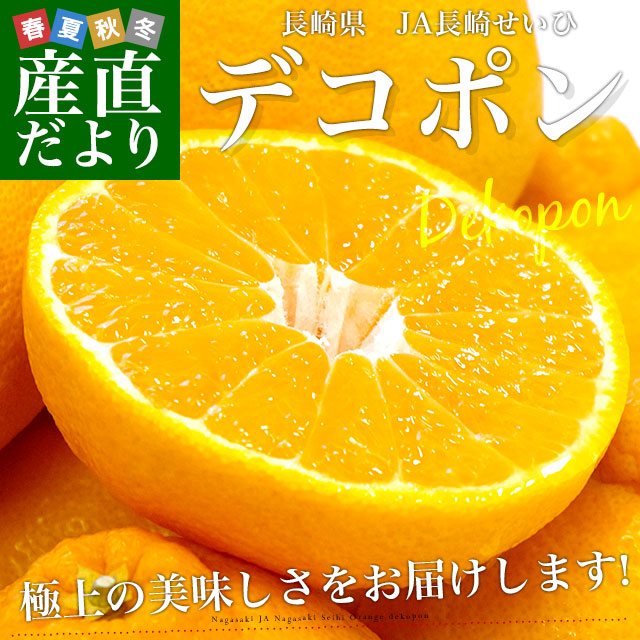 長崎県より産地直送 JA長崎せいひ 露地デコポン 優品 4LからLサイズ 3