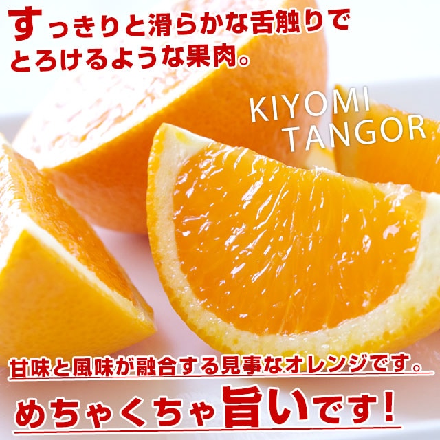あまあまトロトロ！！酸味少なっ！！【三崎タンゴール】2Lサイズ 10kg 愛媛県より産地直送 JAにしうわ三崎共選 清見タンゴール （清見