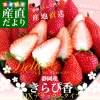 Ų껺ľ JAդƦ ץߥत Թ DX 520g260g2P ̵ DX   ȯ