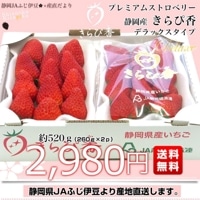 きこいち いちびこ 濃厚チョコ×完熟いちごスイーツ新発売 - HARAJUKU POP WEB