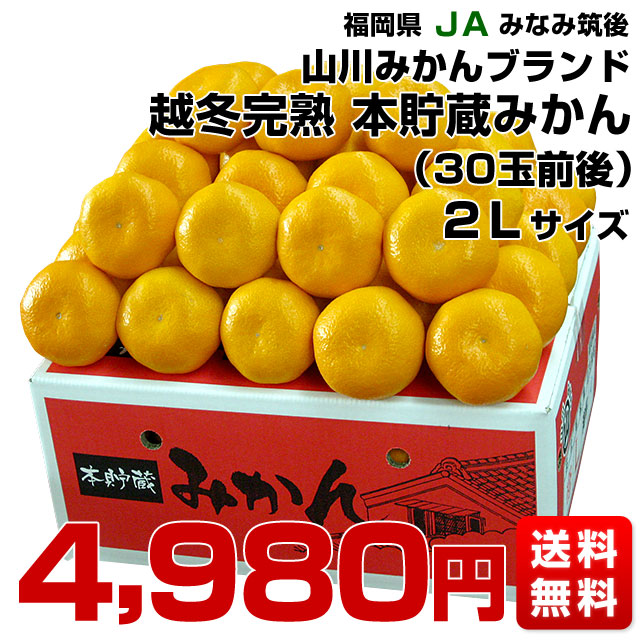福岡県より産地直送 JAみなみ筑後 山川みかん 越冬完熟 本貯蔵みかん