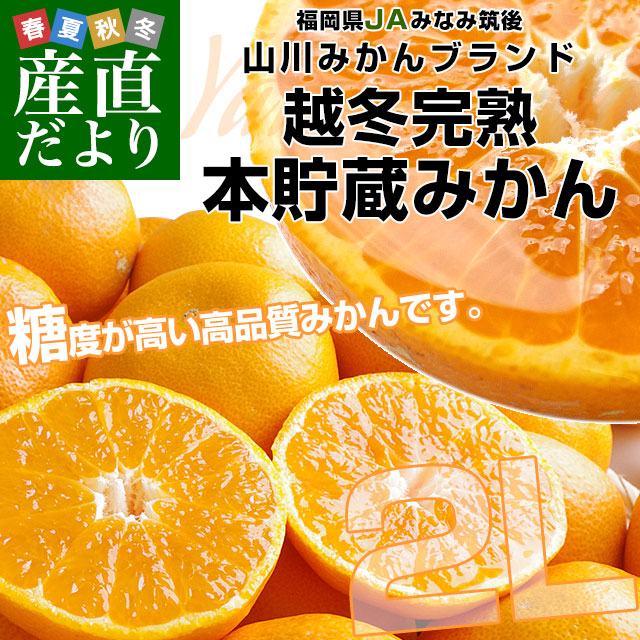 福岡県より産地直送 JAみなみ筑後 山川みかん 越冬完熟 本貯蔵みかん