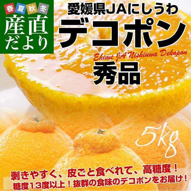 愛媛県 JAにしうわ デコポン 秀品 3LからLサイズ 5キロ（18玉