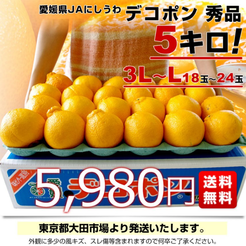 コチバン　愛媛県産　デコポン　10kg ＋5kg 愛媛県産 デコポン 柑橘 10kg