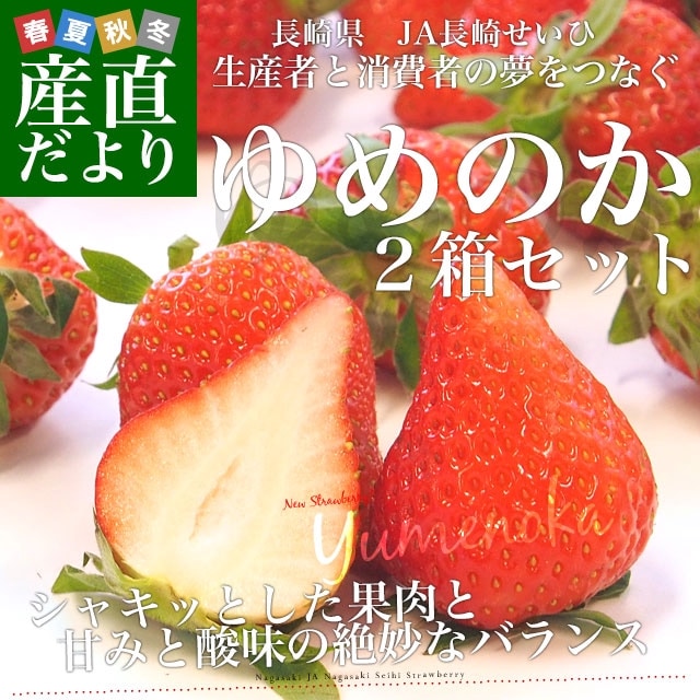 Ĺ긩껺ľ JAĹꤻ Τ 500g  2Ȣå ((250g2P)2Ȣ) (1830γ2Ȣ) ̵ from彣