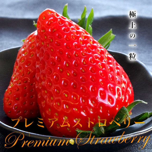 静岡県より産地直送 JAふじ伊豆 プレミアムいちご きらぴ香 超大粒