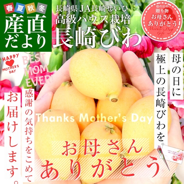 ���٤�Ƥ��������������������ե� Ĺ�긩��껺��ľ�� JAĹ�ꤻ���� ���ϥ������� Ĺ��Ӥ� 500g����Ȣ 3L����L������ (8�̤���12��) ����̵�� ������Ӥ� Ĺ��ӥ� ���ڤӤ�