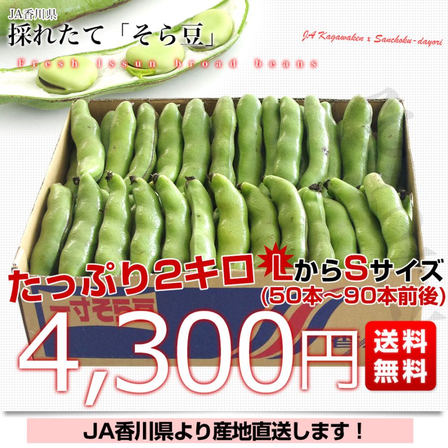 000000001372_1_zwvGYU1.jpg