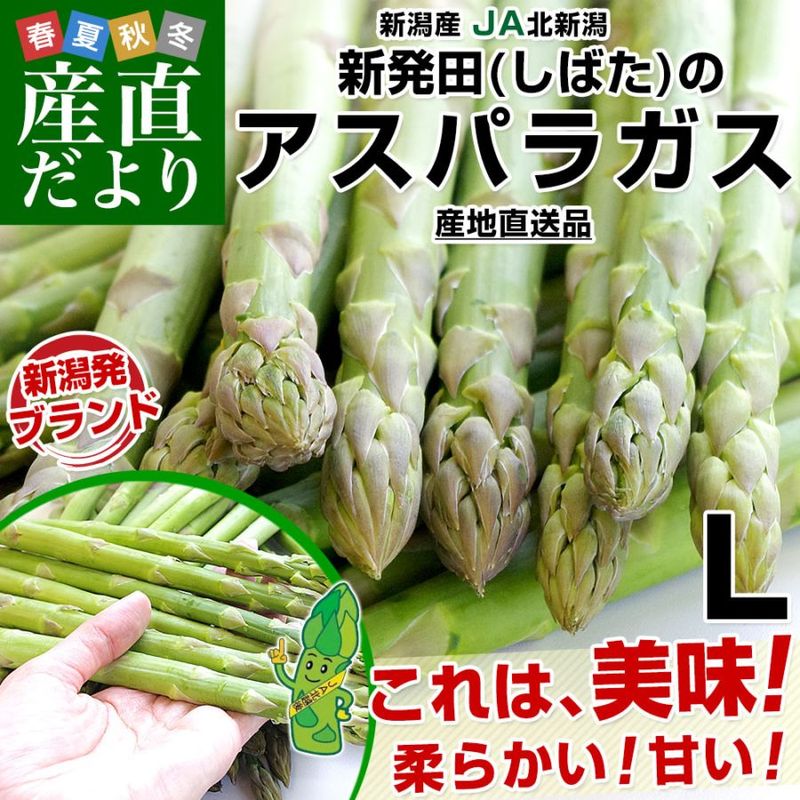 ���㸩��껺��ľ�� JA�̿��� ��ȯ�Ĥζ������꡼�󥢥��ѥ� L ��1���� ����̵��