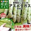 ���㸩��껺��ľ�� JA�̿��� ��ȯ�Ĥζ������꡼�󥢥��ѥ� L ��1���� ����̵��