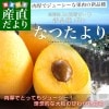 Ĺ�긩��껺��ľ�� JAĹ�ꤻ���� Ĺ��Ӥ� �ʤĤ���� ���� 1��������Ȣ (12�̤���15��) ����̵�� ���� Ĺ��ӥ�