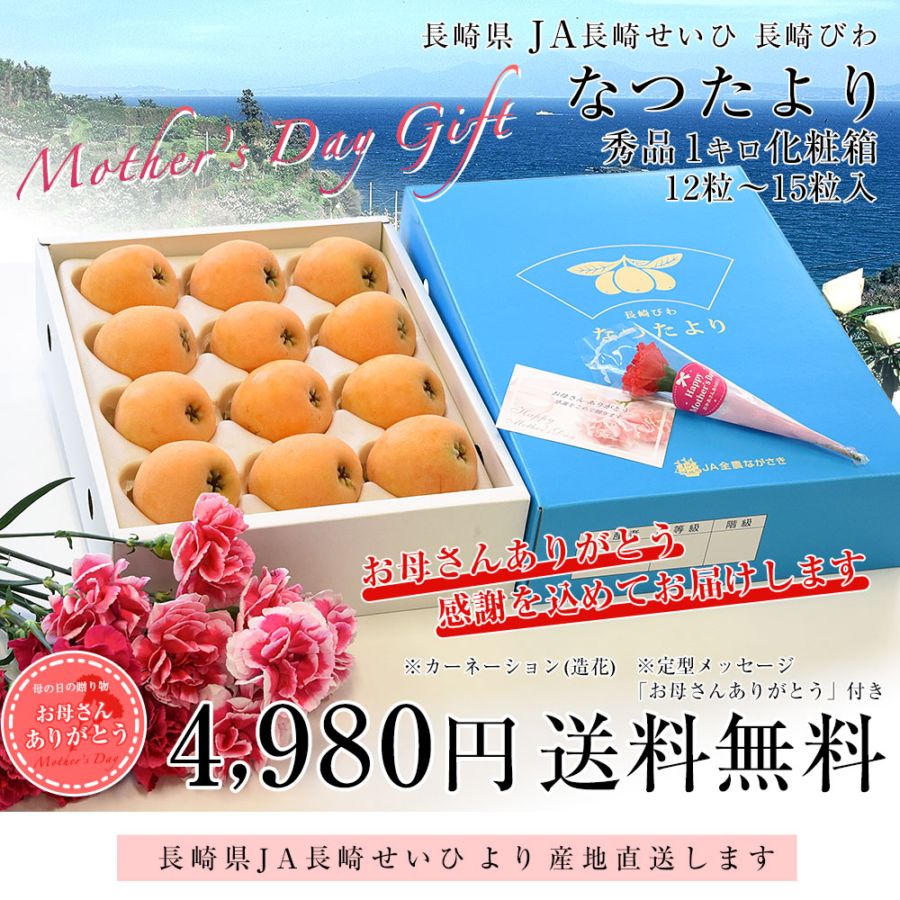 長崎 枇杷「なつたより」青秀。正味重量‥約２キロ。４パック✕２箱セット 母の日ギフト】長崎県より産地直送 JA長崎せいひ 長崎びわ なつたより