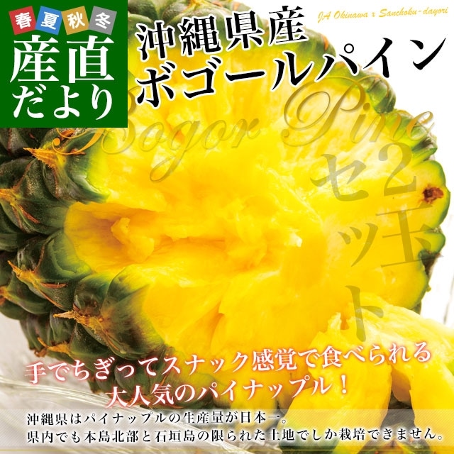 츩껺ľ JAʤ 츩 ܥѥ 2̥å 2.4 (1.22) ̵ ѥ ѥʥåץ ѥ󥢥åץ 