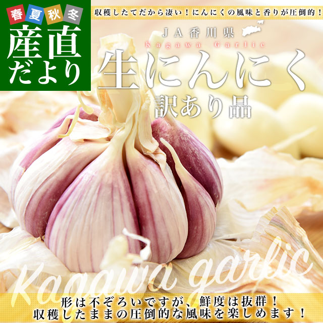 껺ľ JA ˤˤ  2 (15̤36) ̵ ˥˥   ˤˤ