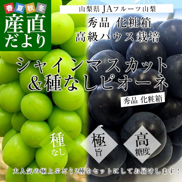 껺ľ JAե롼Ļ 㥤ޥåȡԥ 2糧å  ˼2˼ Ȣ (550g2˼̵ ե ƥե 渵 渵