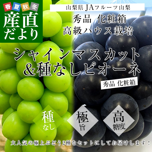 お中元・夏ギフト】山梨県より産地直送 JAフルーツ山梨 シャイン