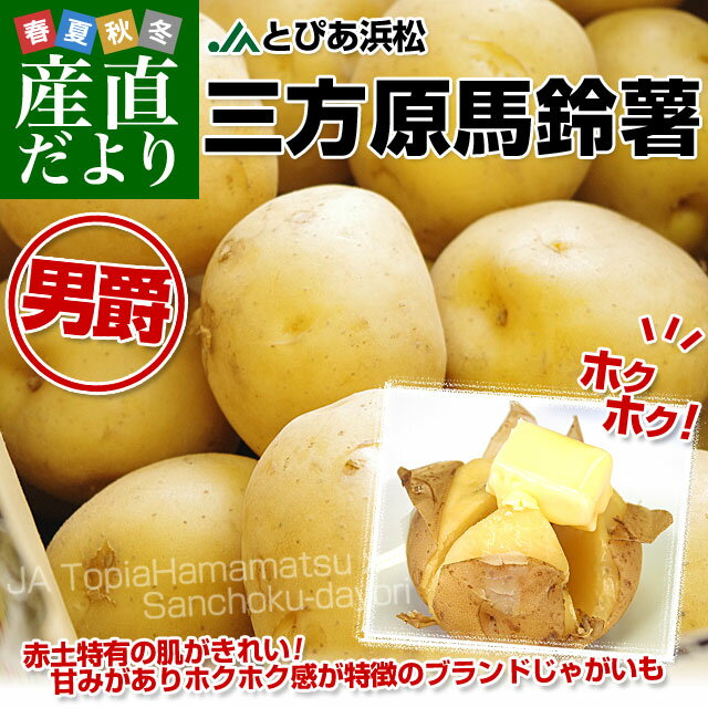 激安！　早い者勝ち　じゃがいも　41 静岡県産 JAとぴあ浜松 三方原馬鈴薯（男爵） Mサイズ 10キロ