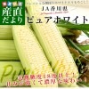 �����껺��ľ�� JA��� ī�Τ�ԥ奢�ۥ磻�� 2�̤���L������ ��2.5������6�ܤ���10������ �Ȥ�������� �ȥ�������� ����������