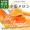 �̳�ƻ��껺��ľ�� JAͼĥ�� ͼĥ����� ͥ�� 3��(1.3������3��) ����̵�� �椦�Ф� ͼĥ���� �����  ���渵 ���ե�