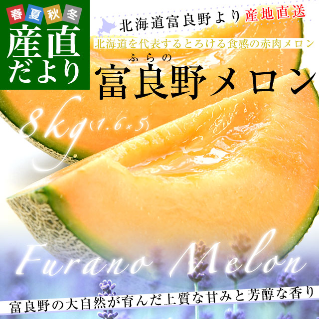 北海道より産地直送 富良野メロン 赤肉 約8キロ (大玉5玉から6玉