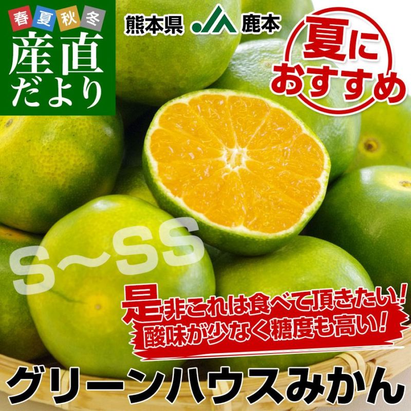 ���ܸ���껺��ľ�� JA���� ���꡼��ϥ����ߤ��� S����SS������ ��2.5��������32�̤���40�̡˲���Ȣ���� ����̵���ߥ��� ̪�� 