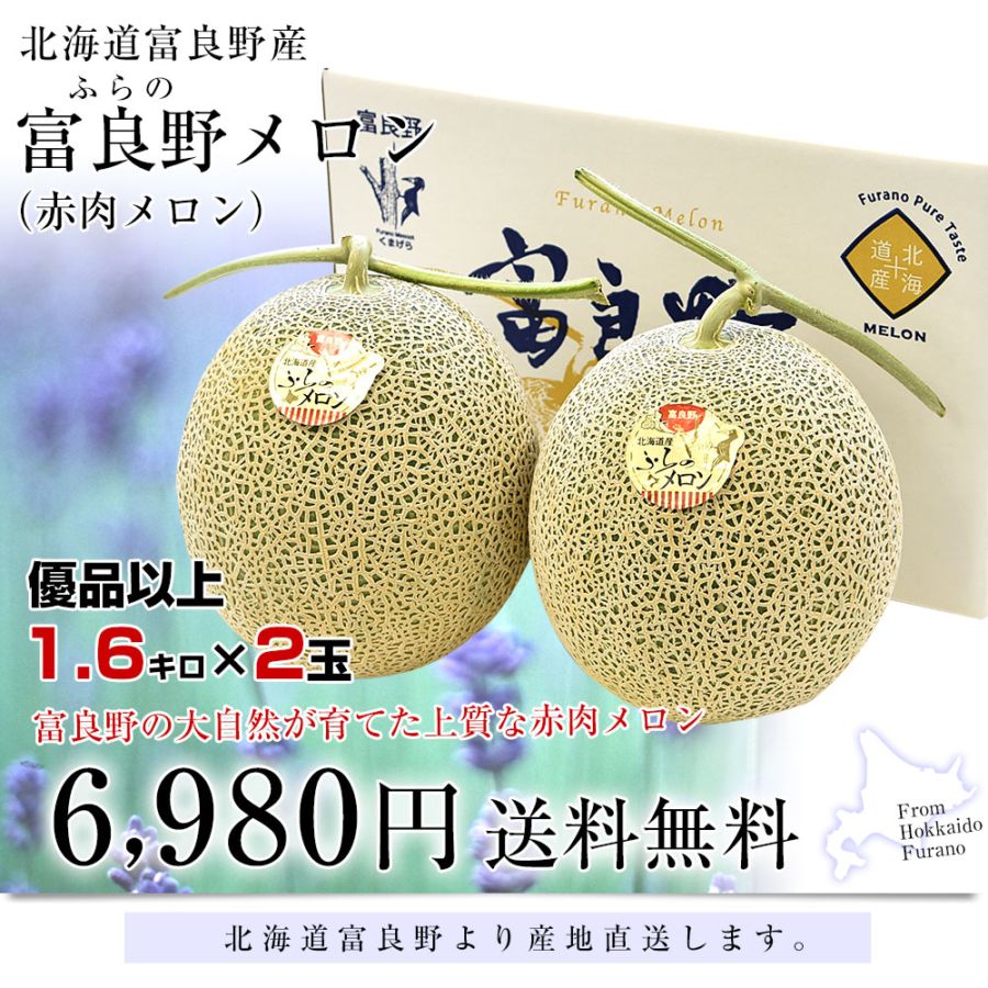 北海道より産地直送 富良野メロン (赤肉) 大玉2玉入り化粧箱 (1.6キロ