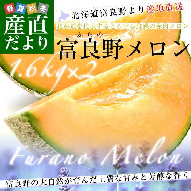 レッド　富良野メロン　お中元　北海道より産地直送　北海道から産地直送,富良野卸売市場　産直だより　(赤肉)　(1.6キロ×2玉)　送料無料　大玉2玉入り化粧箱　ふらのめろん　ギフト